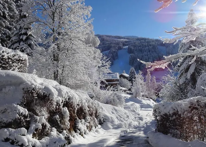 Apartments-weberlandl Wagrain